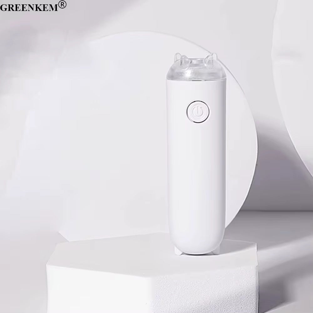 Handheld Mini UV Light