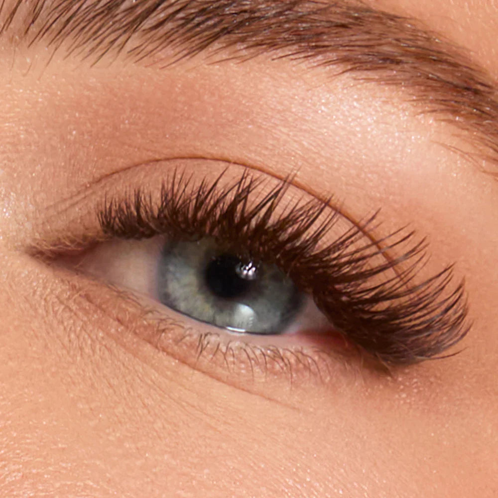 LBLA Flower Power True Matte Lashes 0.03mm D MIX 8-15 - Maple Brown Individual Lash Extensions (18 lines)