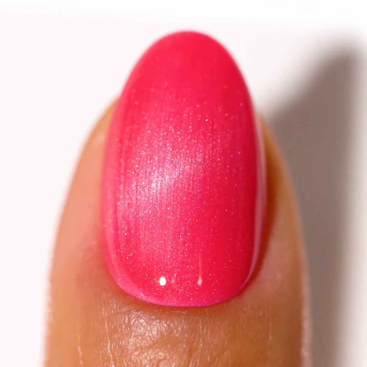 DND DC CAT EYES #12 - FELIDAE FRIEND