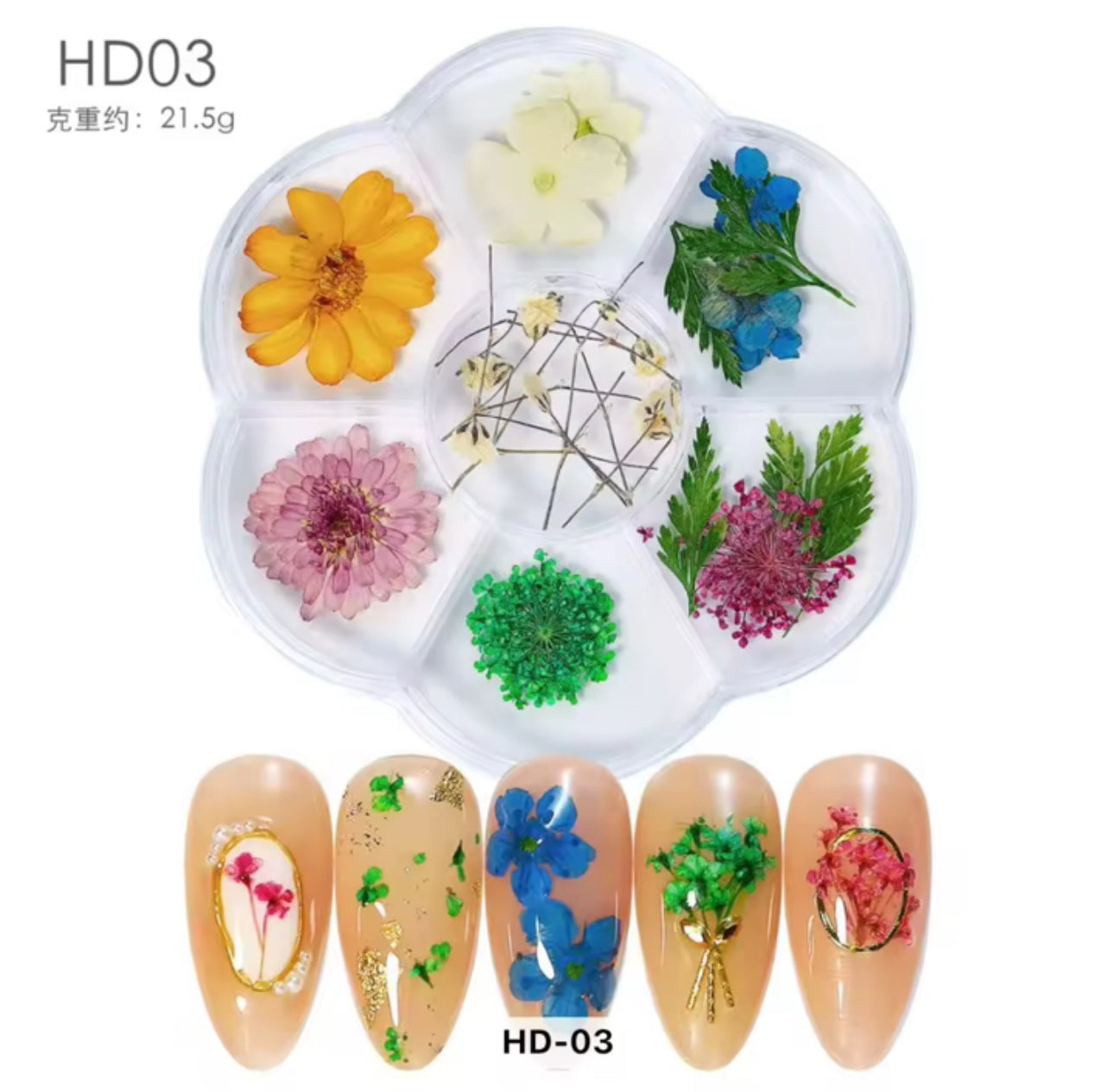 Dried Flowers Assorted Pack