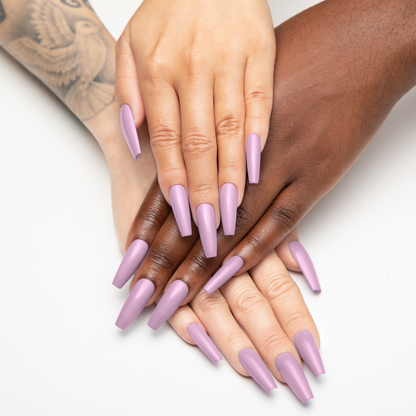 Aprés Aster Family - 341