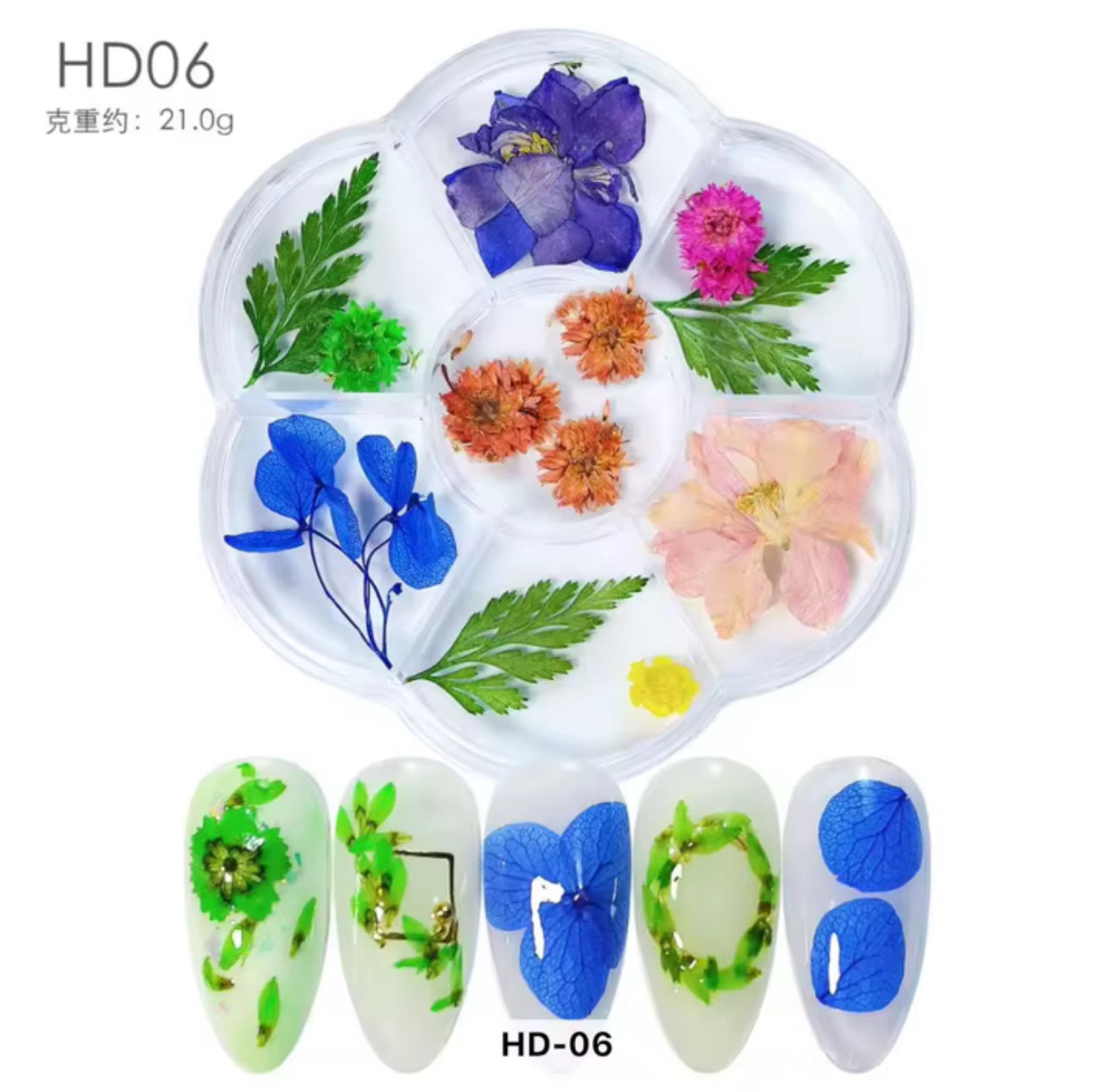 Dried Flowers Assorted Pack