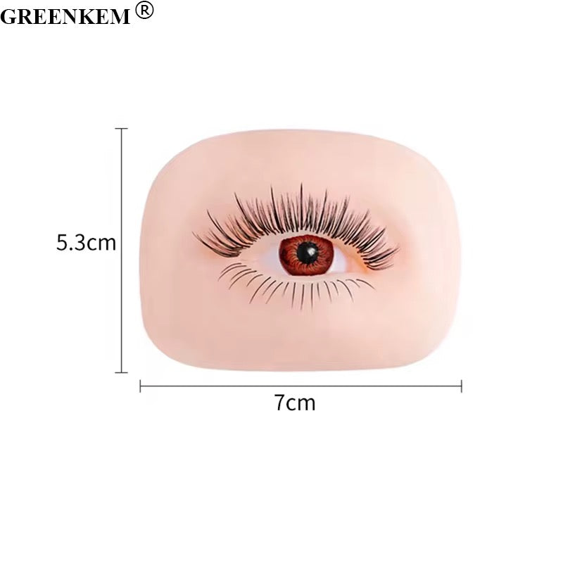 Silicone 5D Eyelash Practice & Eyebrow Pattern Eye Model