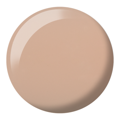 DND DC SHEER  COLLECTION #2436-2471