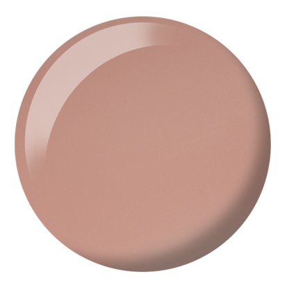 DND DC SHEER  COLLECTION #2436-2471