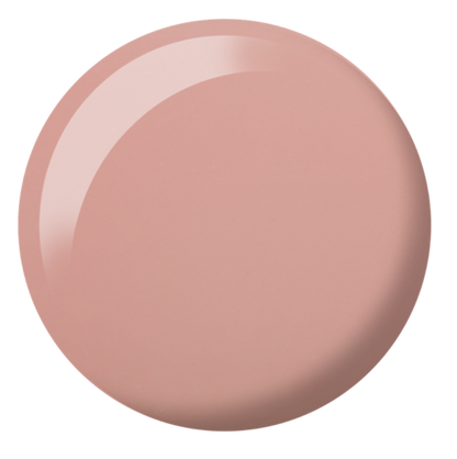 DND DC SHEER  COLLECTION #2436-2471