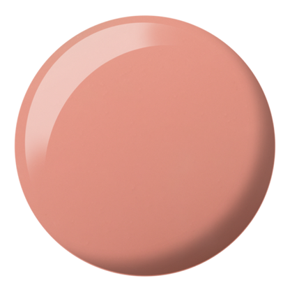 DND DC SHEER  COLLECTION #2436-2471