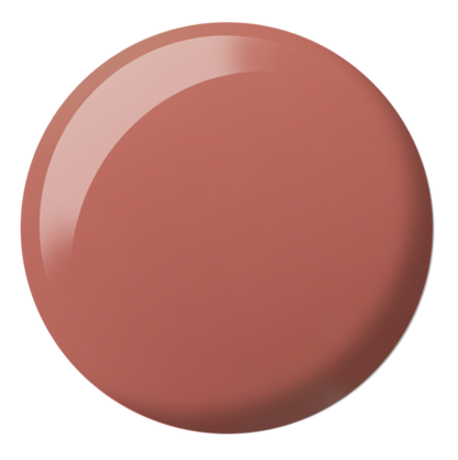 DND DC SHEER  COLLECTION #2436-2471