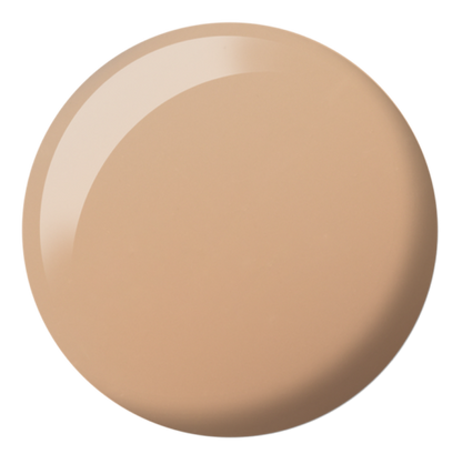 DND DC SHEER  COLLECTION #2436-2471