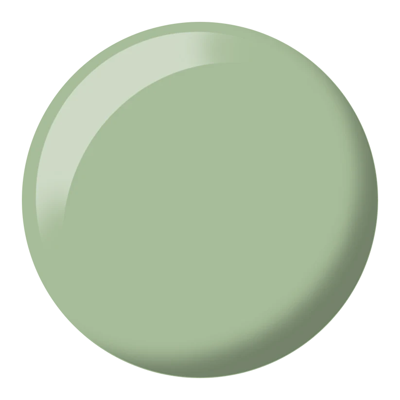DND DIVA #201-290