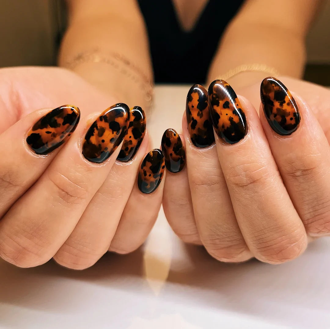 KOKOIST TORTOISE SHELL DESIGN KIT