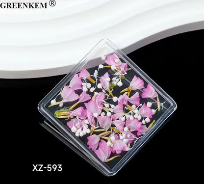 Assorted Small Dried Flowers