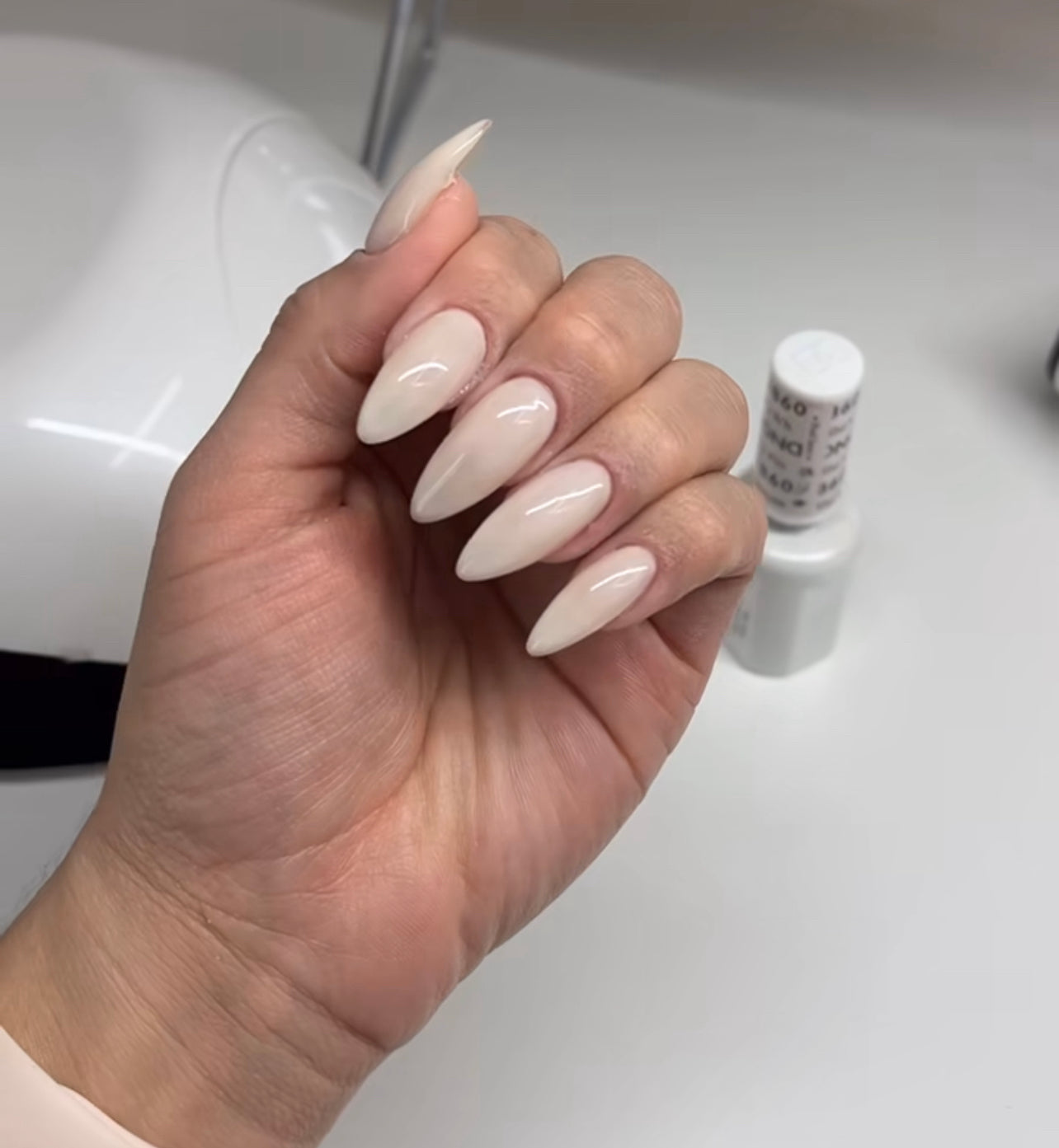 DND Sheer Collection #860 She’s White? She’s Pink?