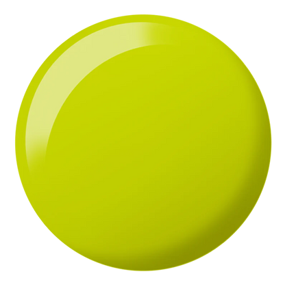 DND DC FREE SPIRIT COLLECTION #2508-2543