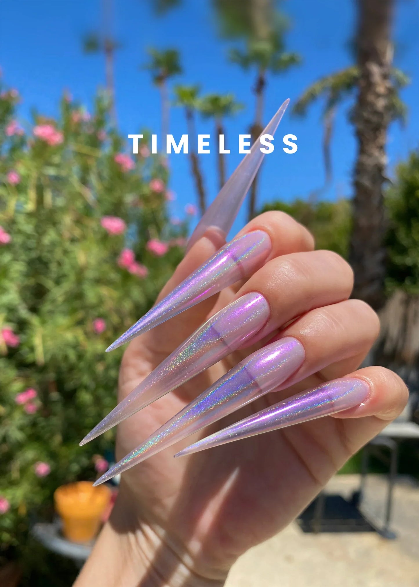 V Beauty Pure Chrome Powder - Timeless