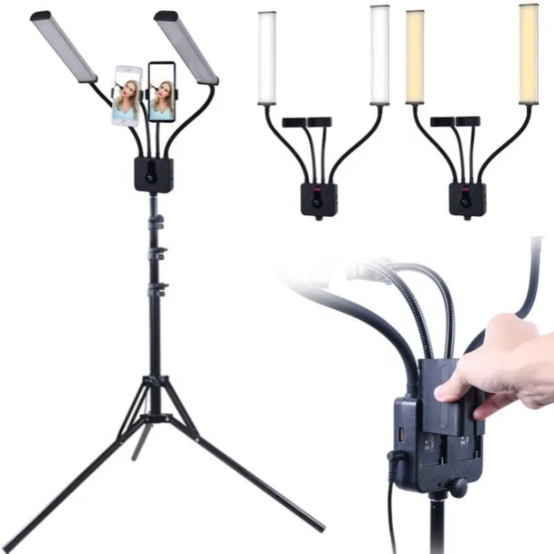 Portable LED light with stand