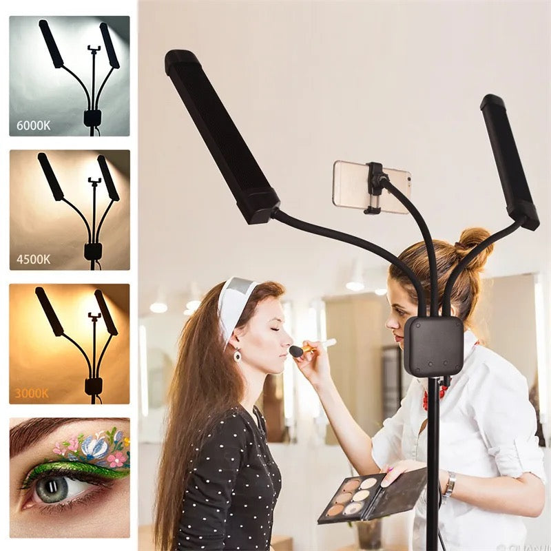 Portable LED light with stand
