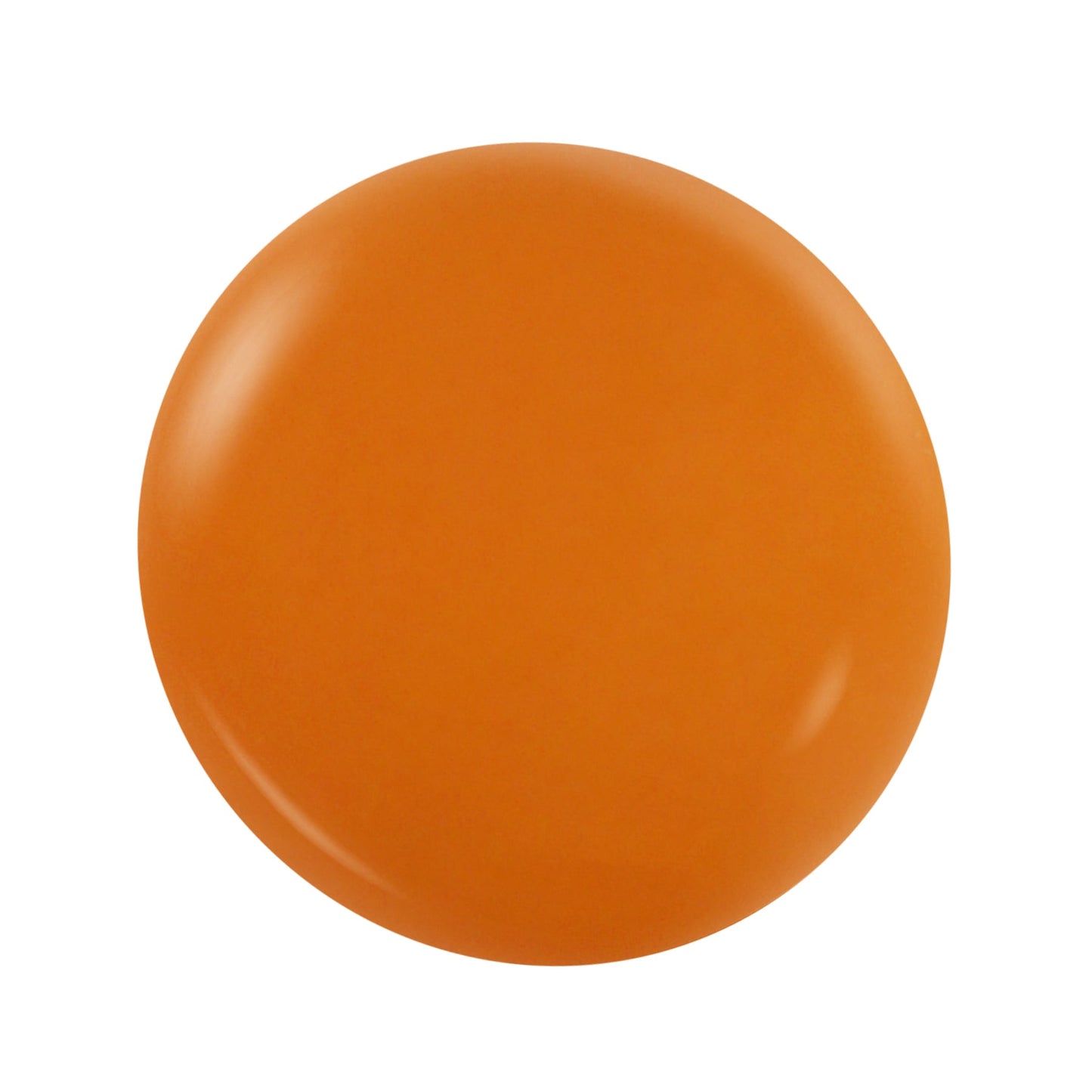 NOTPOLISH M67 AUTUMN LEAF POWDER