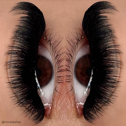 elan 0.05 Cashmere Mink Lash Trays